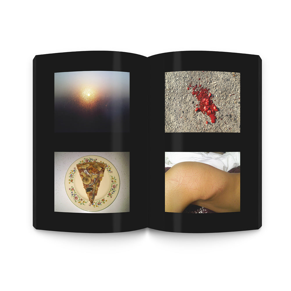 The Beautiful Flower Is the World