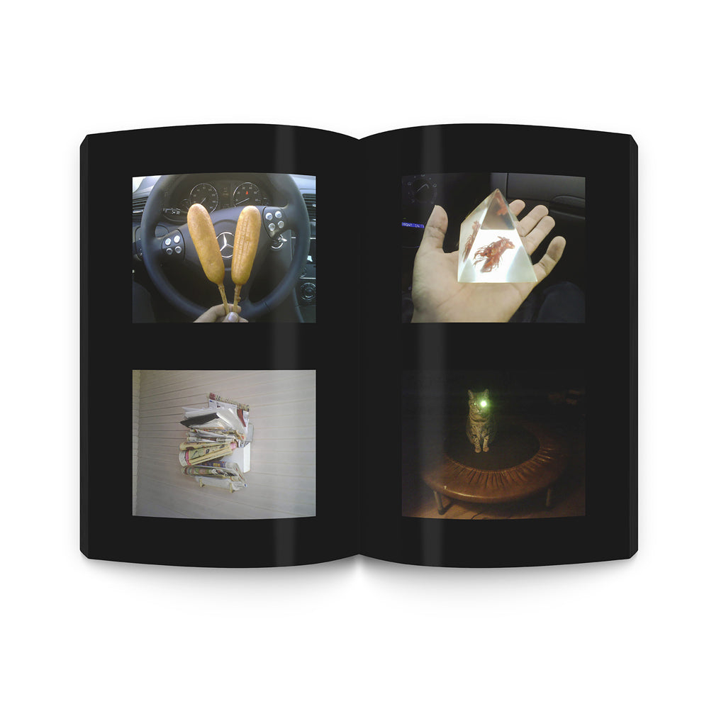 The Beautiful Flower Is the World