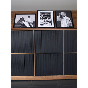 Theaster Gates: Facsimile Cabinet of Women Origin Stories