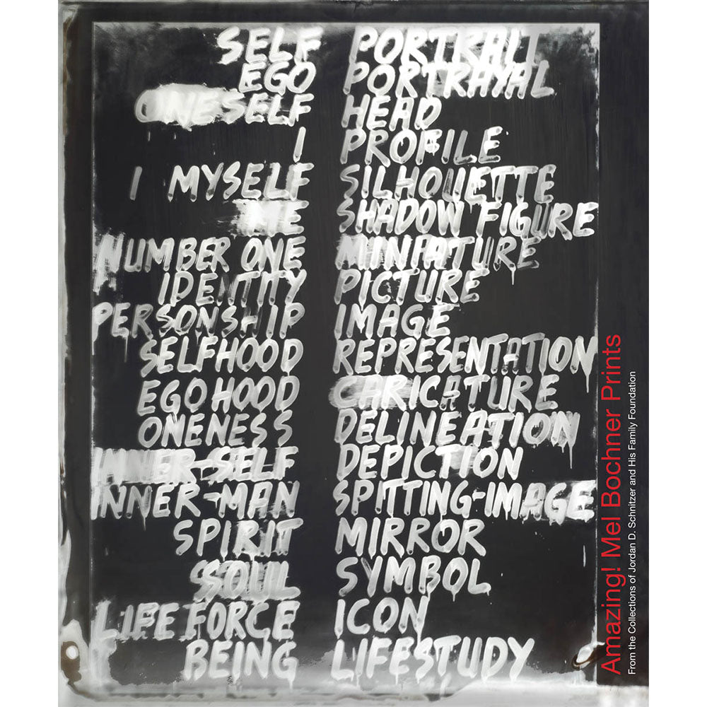 Amazing! Mel Bochner Prints