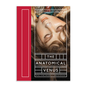 The Anatomical Venus : Wax, God, Death & The Ecstatic