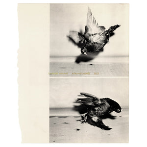 Carmen Winant: Arrangements