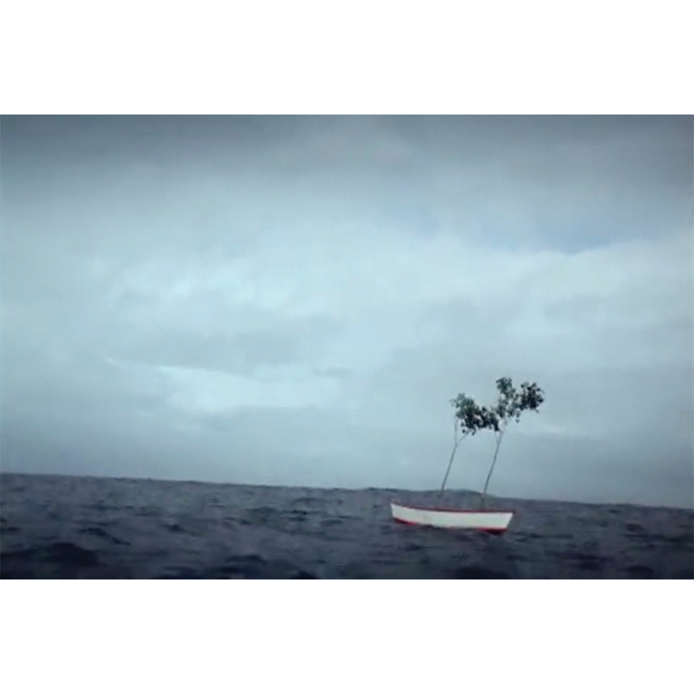 Chosen Memories: Contemporary Latin American Art from the Patricia Phelps de Cisneros Gift and Beyond