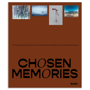 Chosen Memories: Contemporary Latin American Art from the Patricia Phelps de Cisneros Gift and Beyond