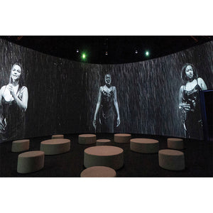 Carrie Mae Weems: The Shape of Things