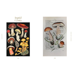Fungal Inspiration