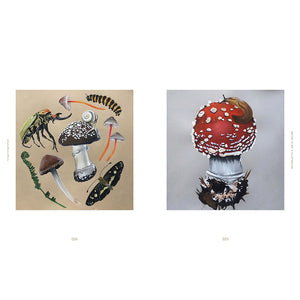 Fungal Inspiration
