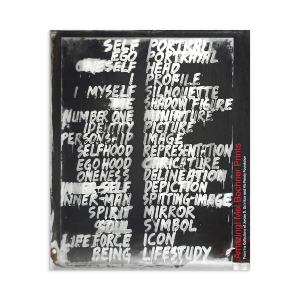 Amazing! Mel Bochner Prints