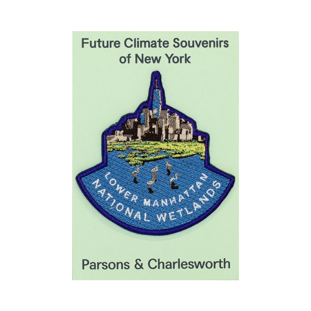 Lower Manhattan Wetlands Patch