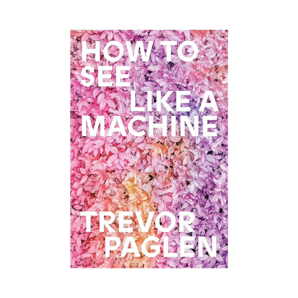 How to See Like a Machine: Images After AI
