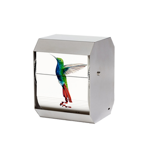 Black-Throated Mango Hummingbird by J. C. Fontanive