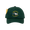 I Fed the Dodos Hat