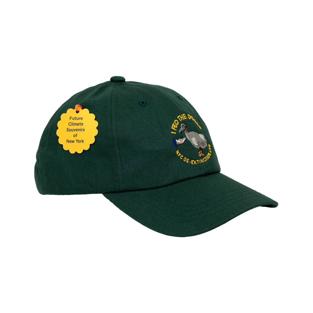 I Fed the Dodos Hat