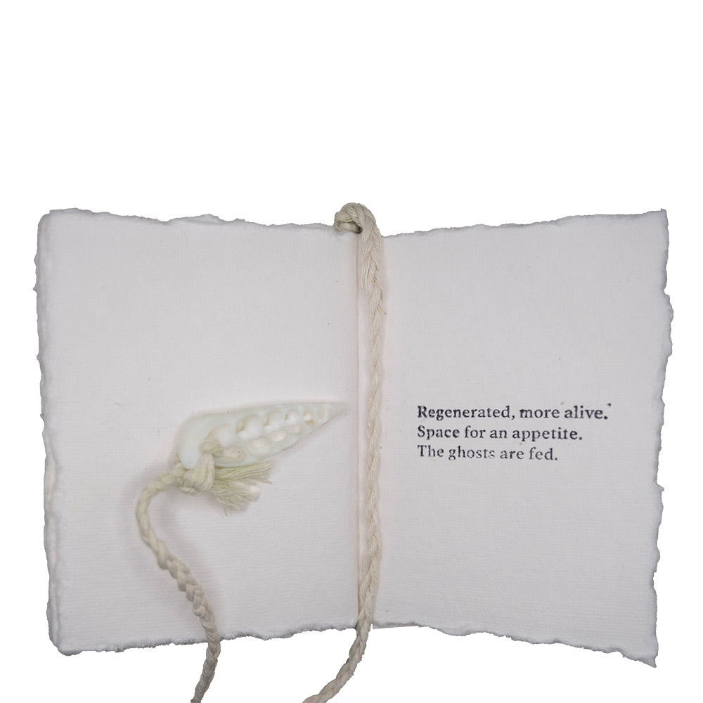 Plant Food: A Poem Book