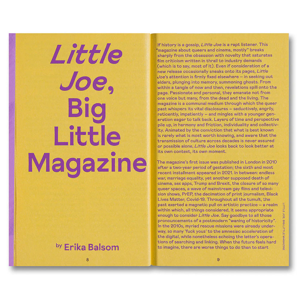 Little Joe: A book about queers and cinema, mostly