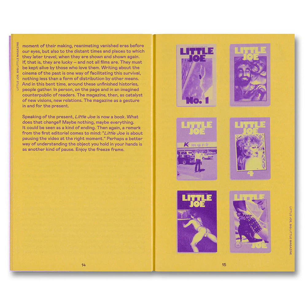 Little Joe: A book about queers and cinema, mostly