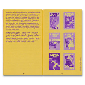 Little Joe: A book about queers and cinema, mostly