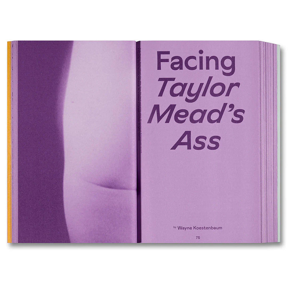 Little Joe: A book about queers and cinema, mostly