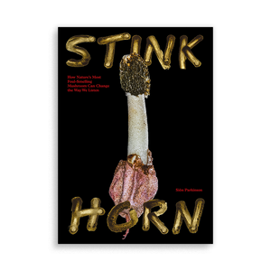 Stinkhorn