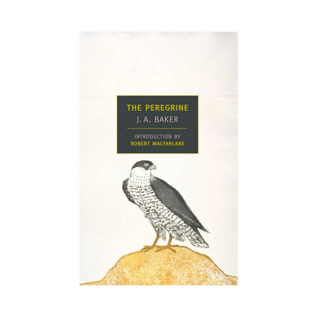The Peregrine