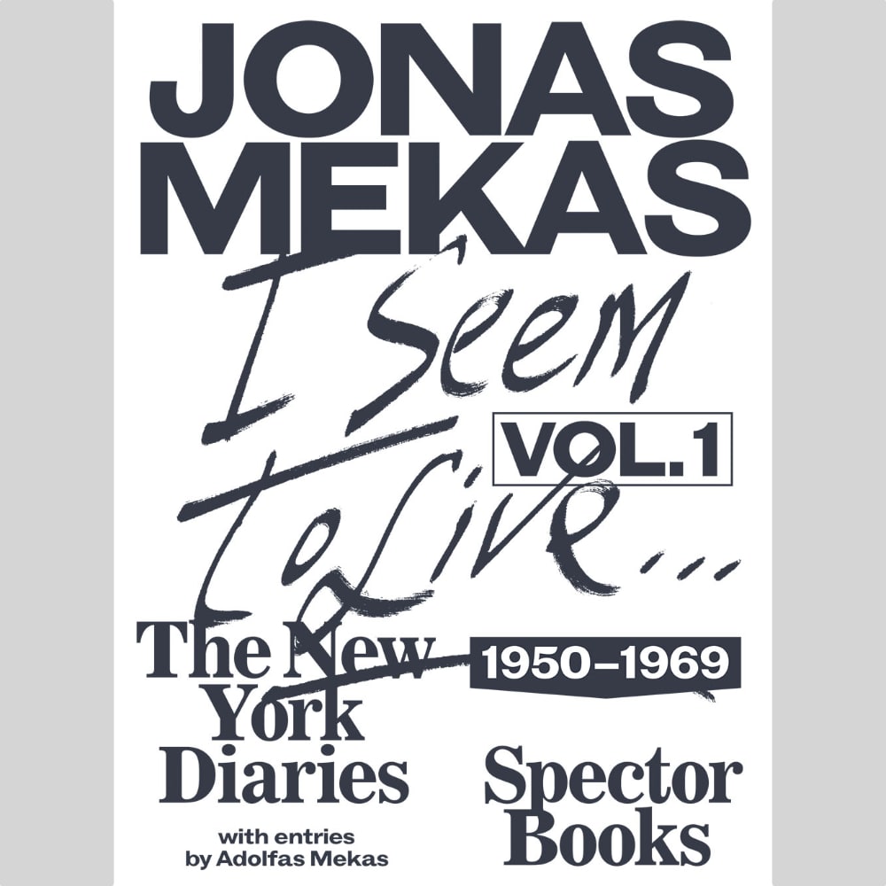 I Seem to Live: The New York Diaries, 1969–2011 Volume 2